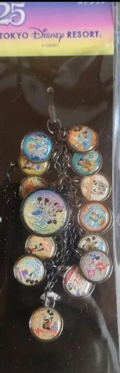 レア　東京ディズニーリゾート 25周年記念ストラップ