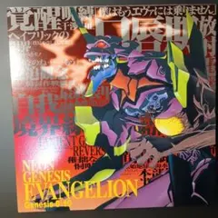 お買い得 新世紀エヴァ LD16枚 Genesis＋劇場版2作 外観良好 新世紀エヴァ LD16枚 Genesis＋劇場版2作 外観良好 - メルカリ
