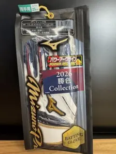 超高級品！ミズノプロ バッティンググローブ 24cm 定価10,450円税込 
