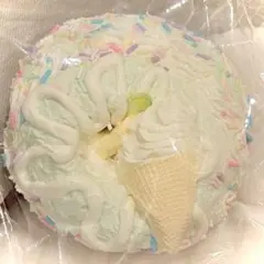 Bloomood スクイーズ ドーナツ DIY カラースプレー タグ付き 美品