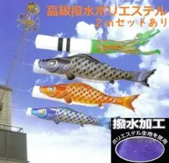 Item thumbnail for item 09984ccd-10f4-4e5e-925b-e4540537da8e