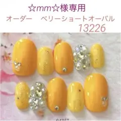 ☆mm☆様専用☆オーダーネイルチップ