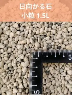 無菌 日向かる石 軽石 小粒 1.5L 日向土 土壌改良 用土 培養土のサムネイル