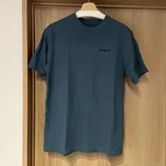 ち*ち様 Patagonia Tシャツ　S