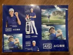 渋野日向子選手 AIG損保 ステッカーのサムネイル