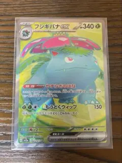 2025年最新】フシギバナEXの人気アイテム - メルカリ