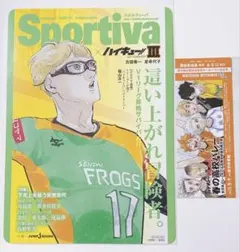 ハイキュー ショーセツバン アニメイト 特典 ビジュアルボード 影山飛