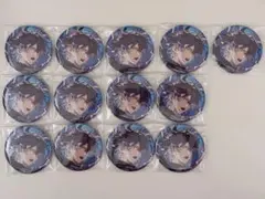 プロセカ KAITO グリッター缶バッジ 34A ザムザ ニーゴ 12点 - メルカリ