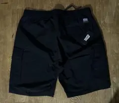 Item thumbnail for item 9fdadffd-032a-491f-80aa-1584f357f156