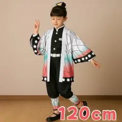 鬼滅の刃　胡蝶しのぶ風　コスプレ 子供 衣装　仮装　120cm