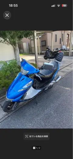 V125オープンプライマリースパイダー蜘蛛の巣ワンツーアドブイ