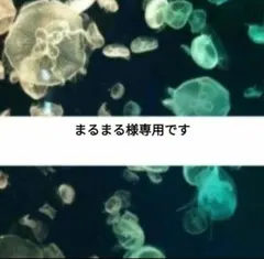 まるまる様専用です