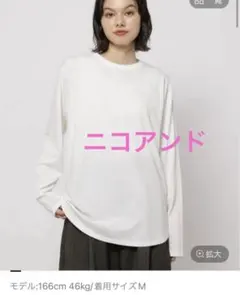 【今季　新品タグ付き】アソートレイヤーベーシックTシャツ　ラウンド　L