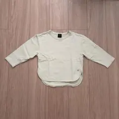 プティマイン 100