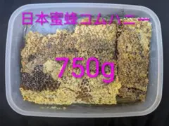 日本蜜蜂 巣蜜 コムハニー(非抗生剤 無添加)のサムネイル
