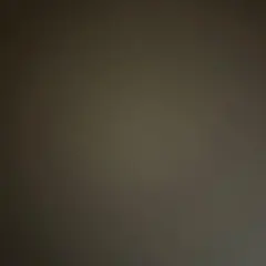 LUI 様　専用