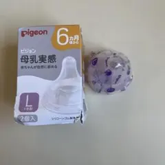 Item thumbnail for item a815423f-23c3-44ad-9503-46eb899becac