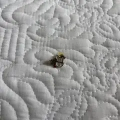 ディズニーストア　片耳ピアス