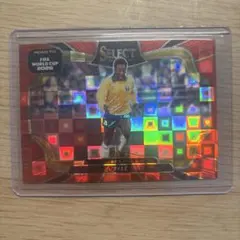 Panini Select Pelé FIFA World Cup インサート