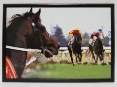 競馬 ウイニングチケット パネル 心に残る名馬