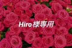 【専用】おまとめ多数セット✴お取り置き✴Hiro様専用ページ✴