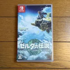 ゼルダの伝説ティアーズオブザキングダム　ティアキン