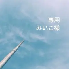 専用ページ みいこ様