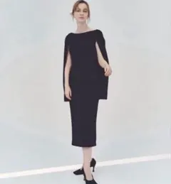 2026年最新】laubeblanc narrow line cape dressの人気アイテム - メルカリ