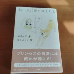 Item thumbnail for item 4abc47b5-8cd3-4fb0-8f72-34bf26d0579e