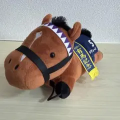 サラブレッドコレクション ドウドゥース