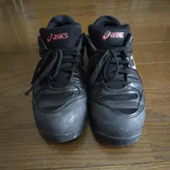 asics アシックス トレッカー 2002 TST555 26cm - メルカリ