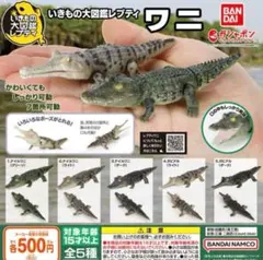 2025年最新】いきもの大図鑑 ナイルワニの人気アイテム - メルカリ