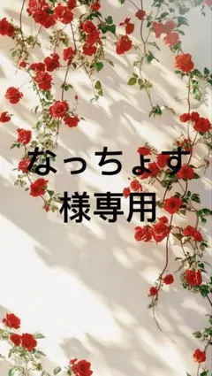 なっちょす様ブラックサイズ0一枚