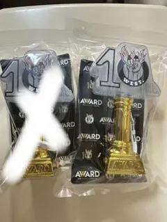 WEST. AWARD ペンライト