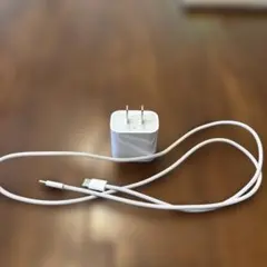 Apple純正　USB-C充電器とケーブルセット
