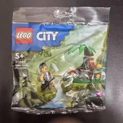 Item thumbnail for item ae4a617e-1869-4a5b-bc8c-7db9704c9d06