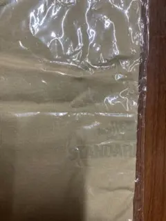 ノースフェイススタンダード　限定Tシャツ