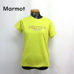 MY3758▲Marmot▲マーモット Tシャツ ドライT アウトドア Mサイズのサムネイル