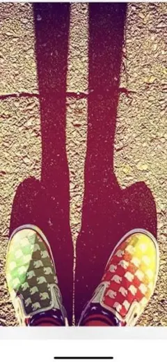 FREECITYチャラヒカル手越exitロンハーマンTMTヒステリックグラマー