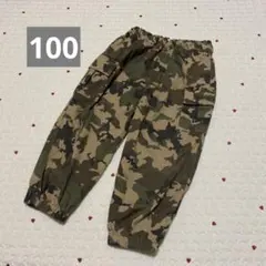 Item thumbnail for item 34222aa3-c942-4835-93a1-7802d6303866