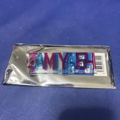 北海道日本ハムファイターズ 田宮裕涼 アクリルネームキーホルダーのサムネイル