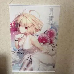 月姫 アルクェイド ブロマイド Fate fgo - メルカリ