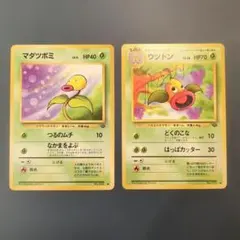 マダツボミ　ウツドン