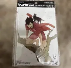 ハイキュー!! 黒尾鉄朗 アクリルアートスタンドシリーズ