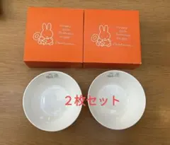 ミッフィー深皿2枚セット