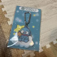 アクリルチャーム ハンギョドン