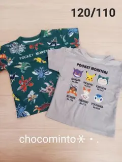 ポケモン/半袖Tシャツ/２枚おまとめ/110/120