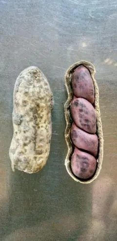 みうら様 リクエスト 2点 まとめ商品