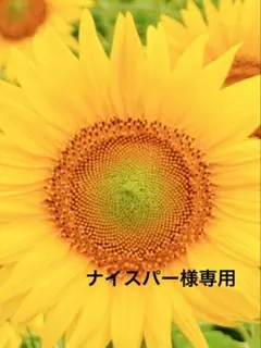 ナイスパー様専用　　細い傘持ち手カバー・グリップカバー☆手編み・ハンドメイド