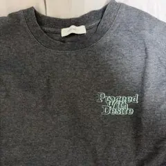 PAGEBOY グレー Tシャツ 半袖